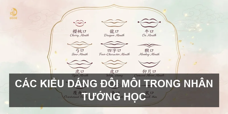 Các kiểu dáng đôi môi trong nhân tướng học